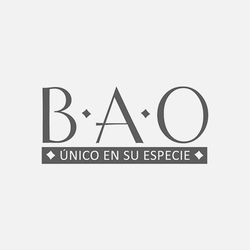 Project “BAO”