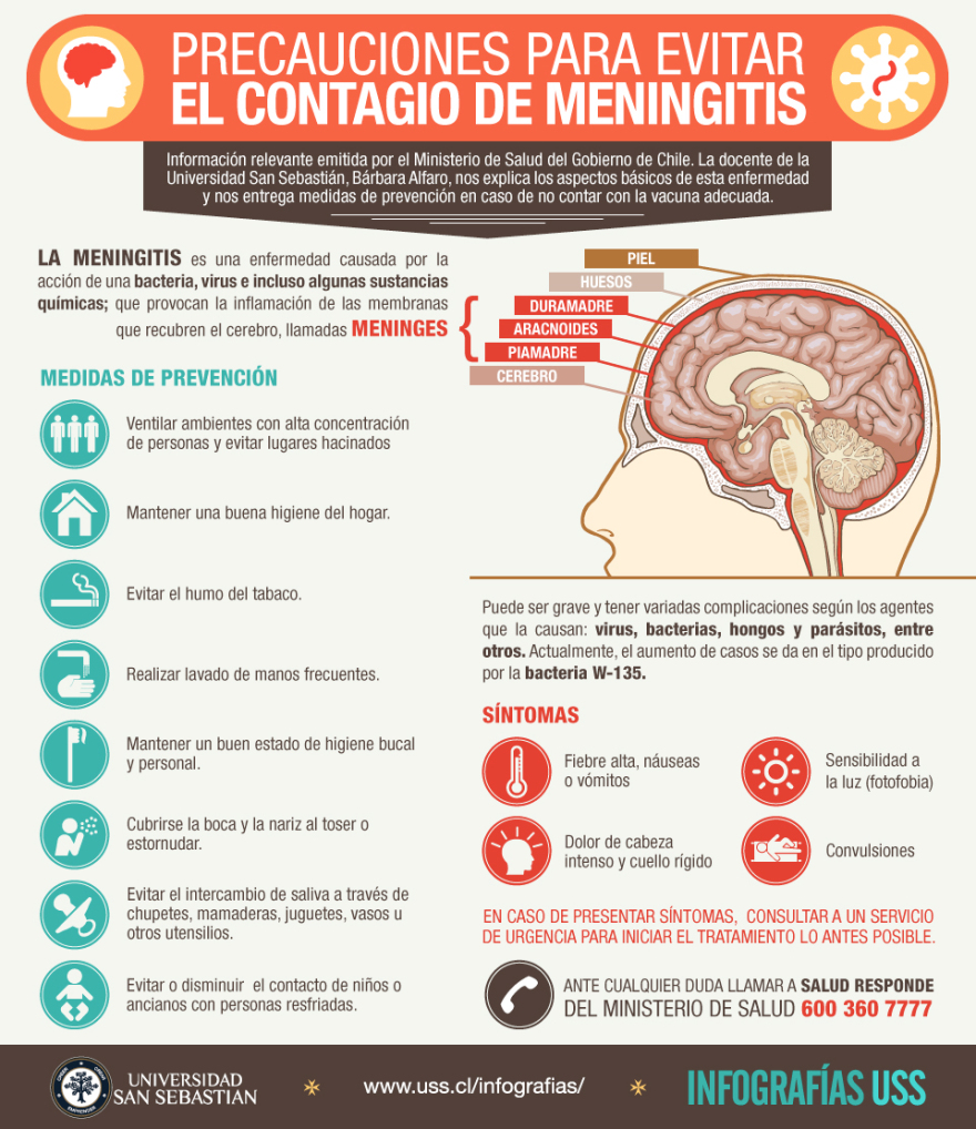 Infographic "Meningitis" Luz Riquelme UX / UI Designer