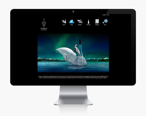 Website “Ice Swan”