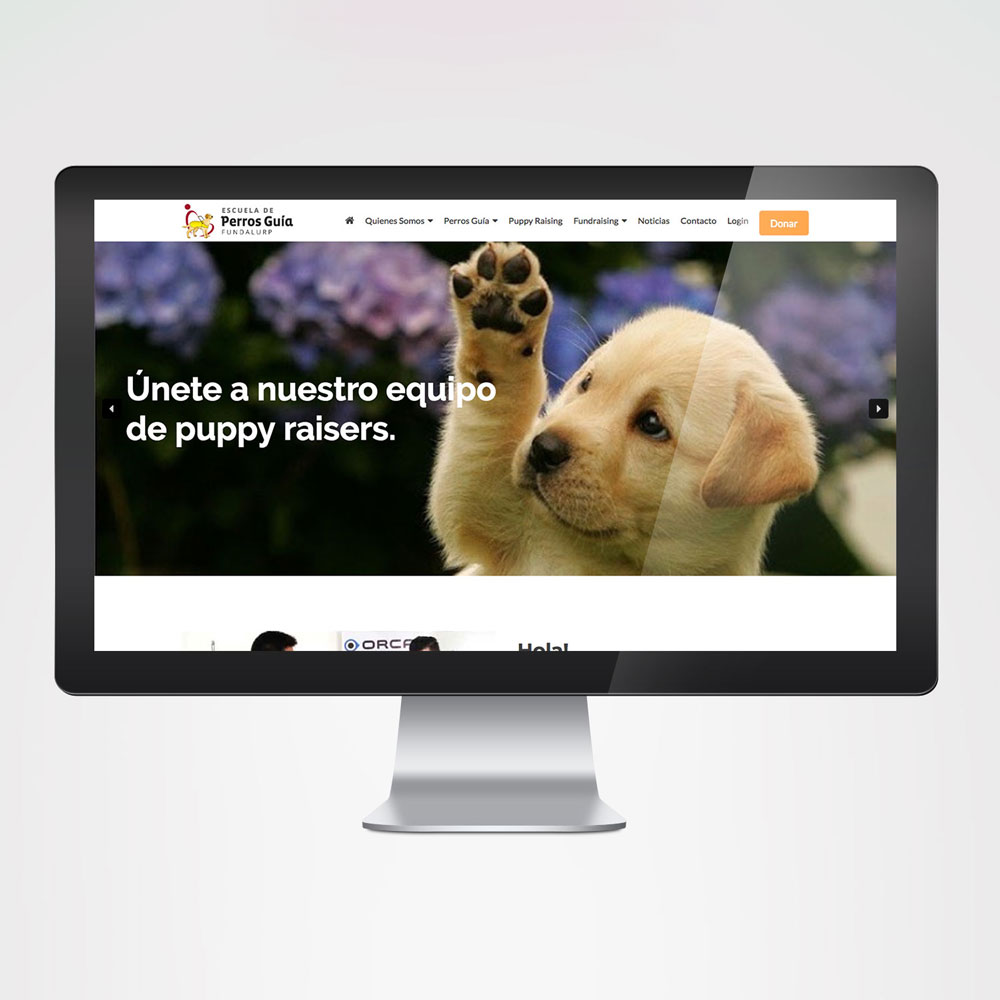 Website “Perros Guía”